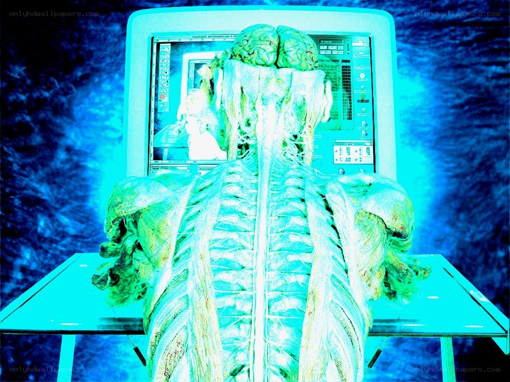 Anatomical model with computer display