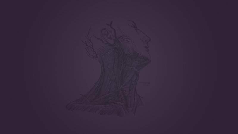 Anatomical Neck Drawing