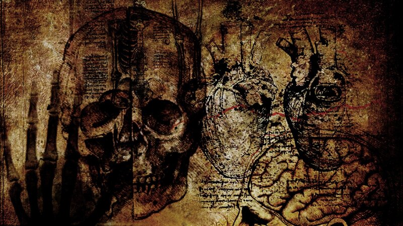 Anatomical Sketches on Parchment