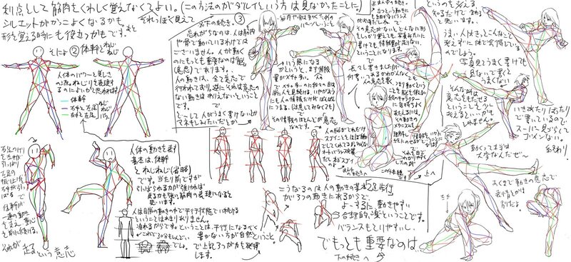 anatomy and movement study