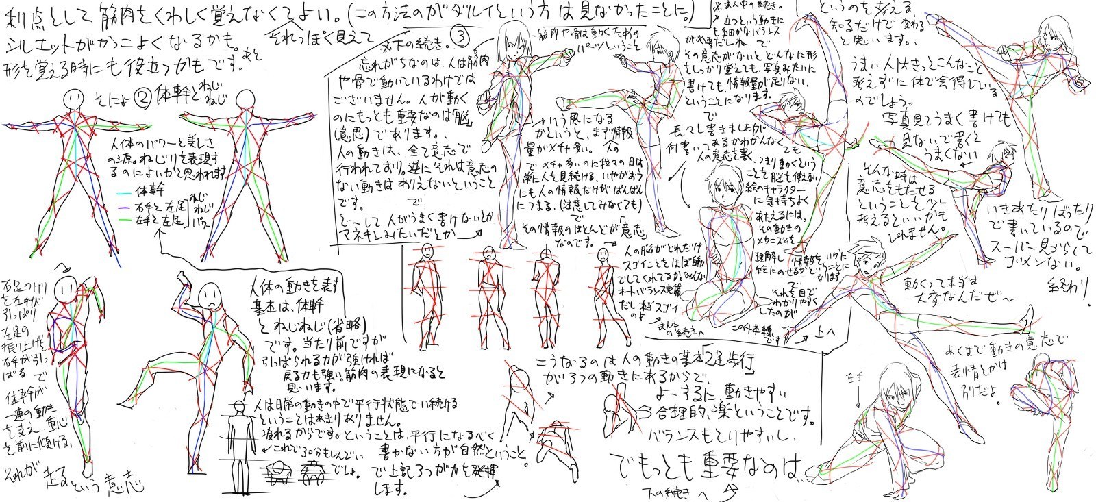 anatomy and movement study