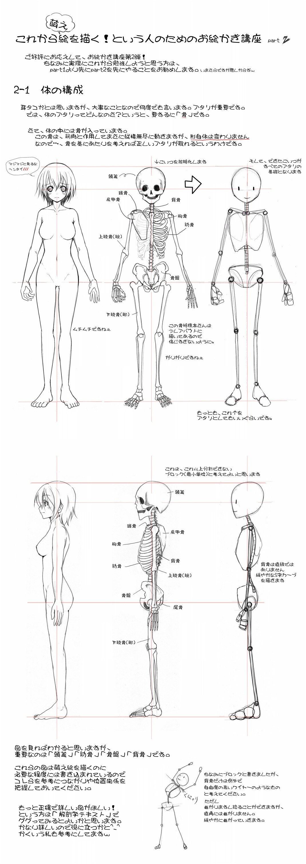 anatomy drawing tutorial