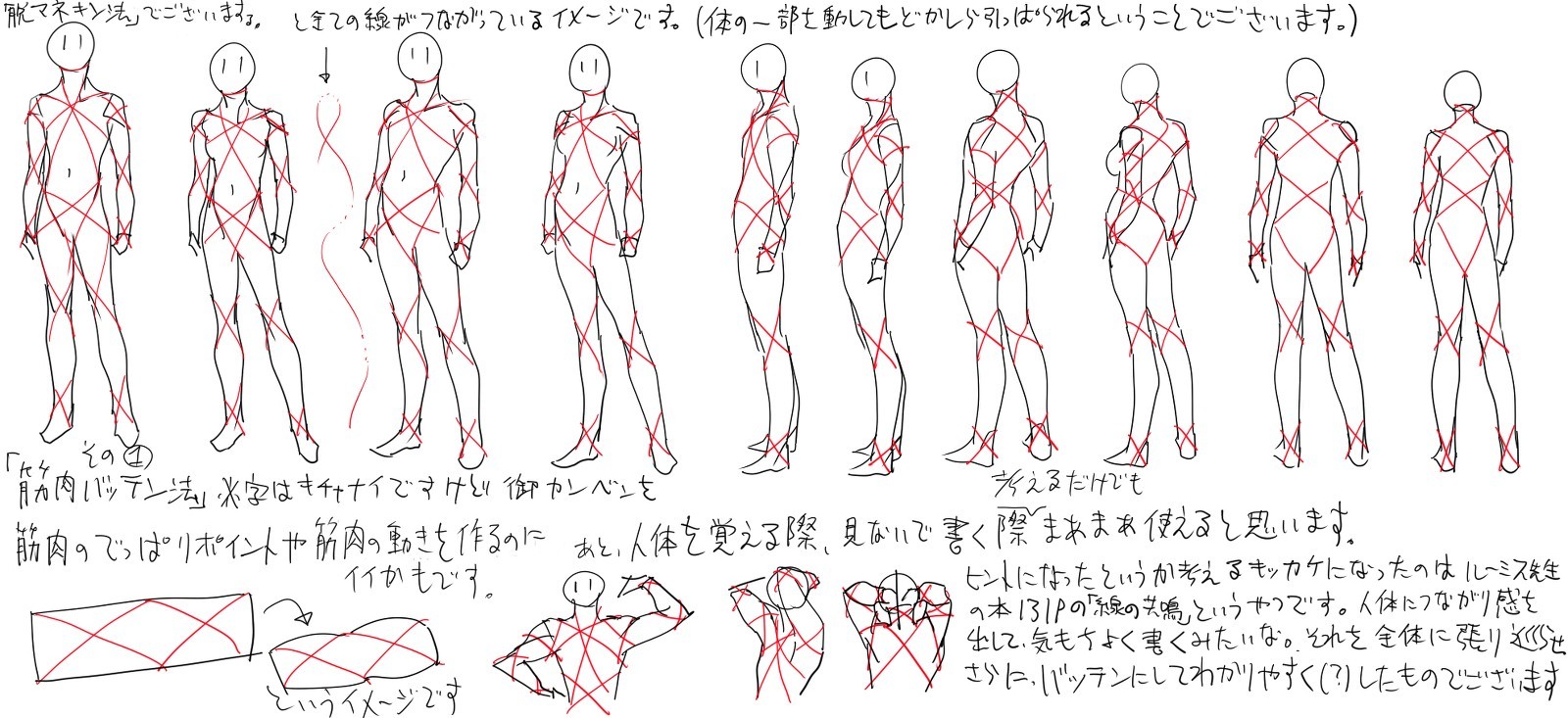 anatomy drawing tutorial