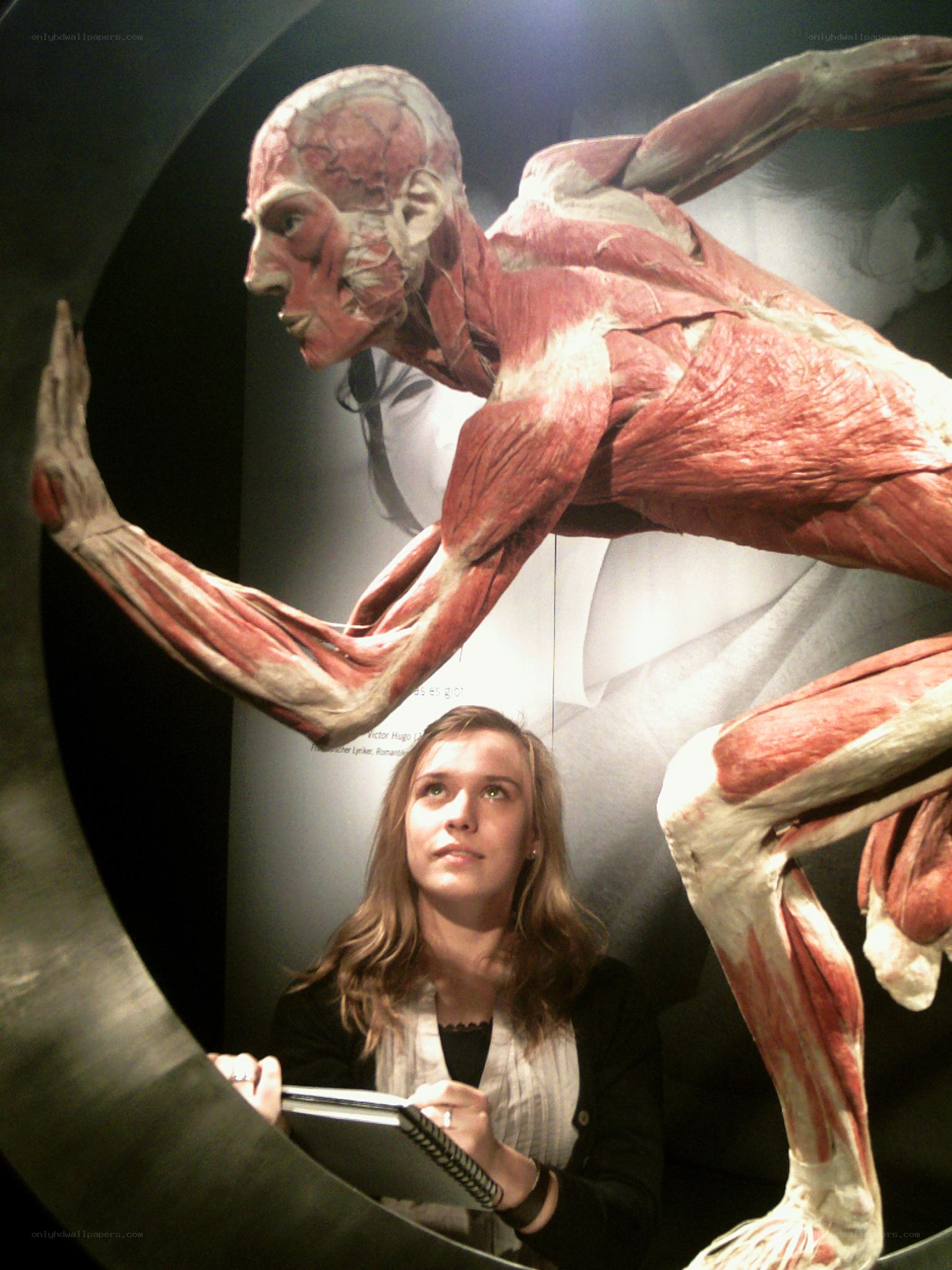 Anatomy exhibit with woman