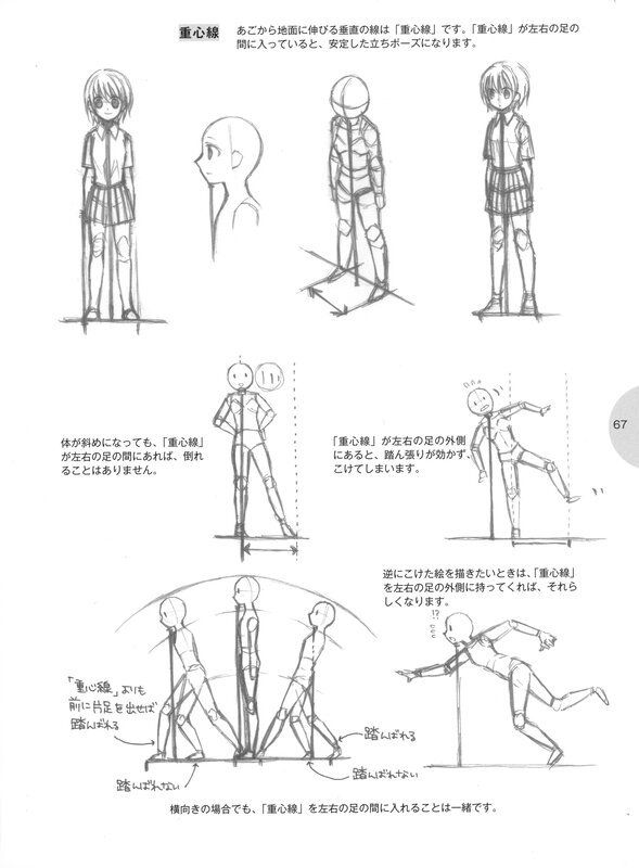 Anatomy guide for character drawing