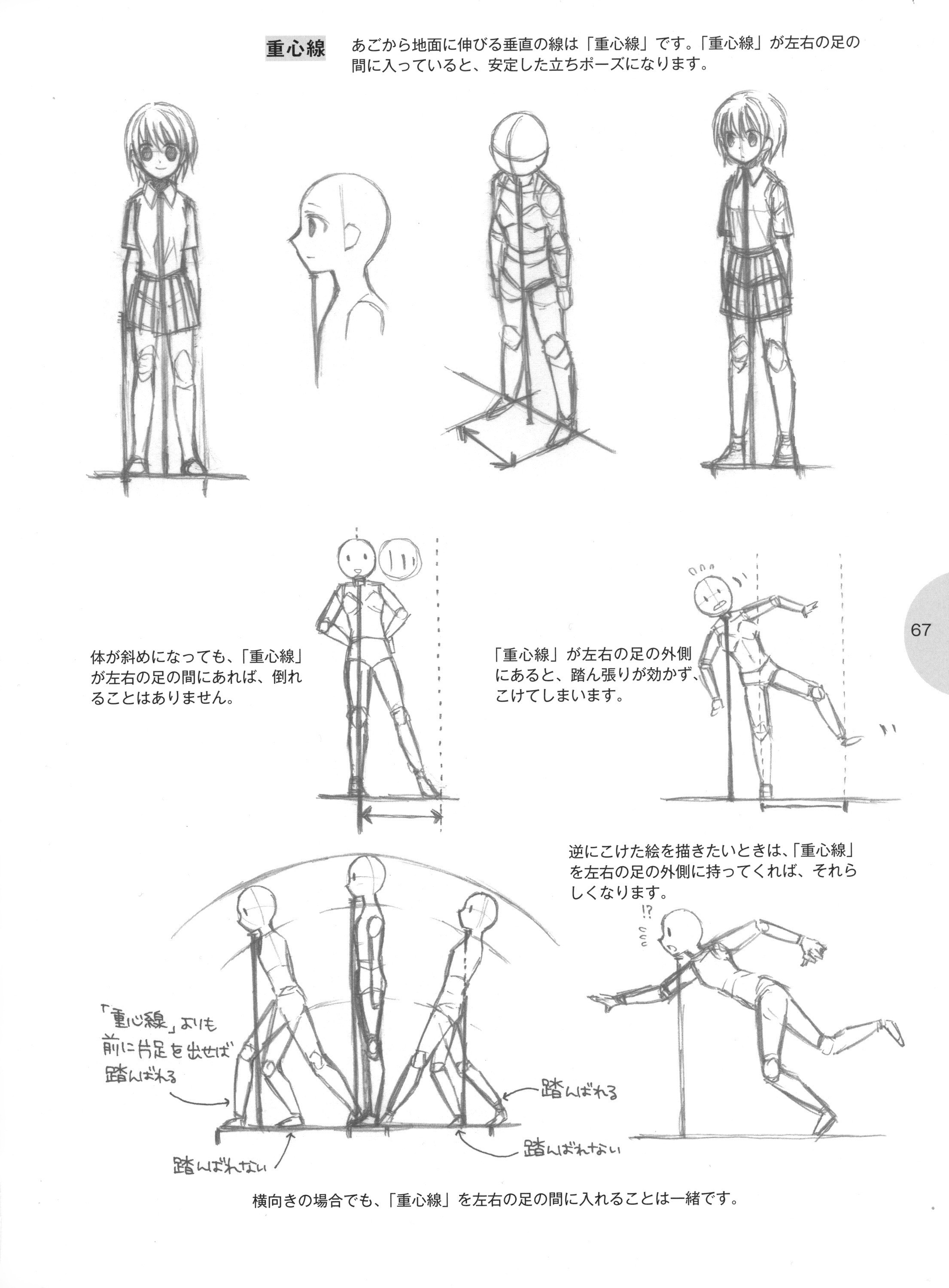 Anatomy guide for character drawing