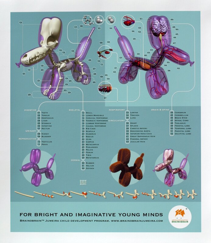 Anatomy of a balloon dog