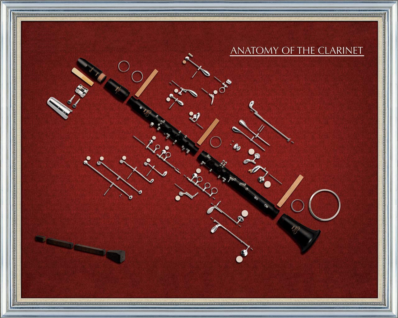 Anatomy of a Clarinet
