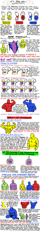 Anatomy of Abs