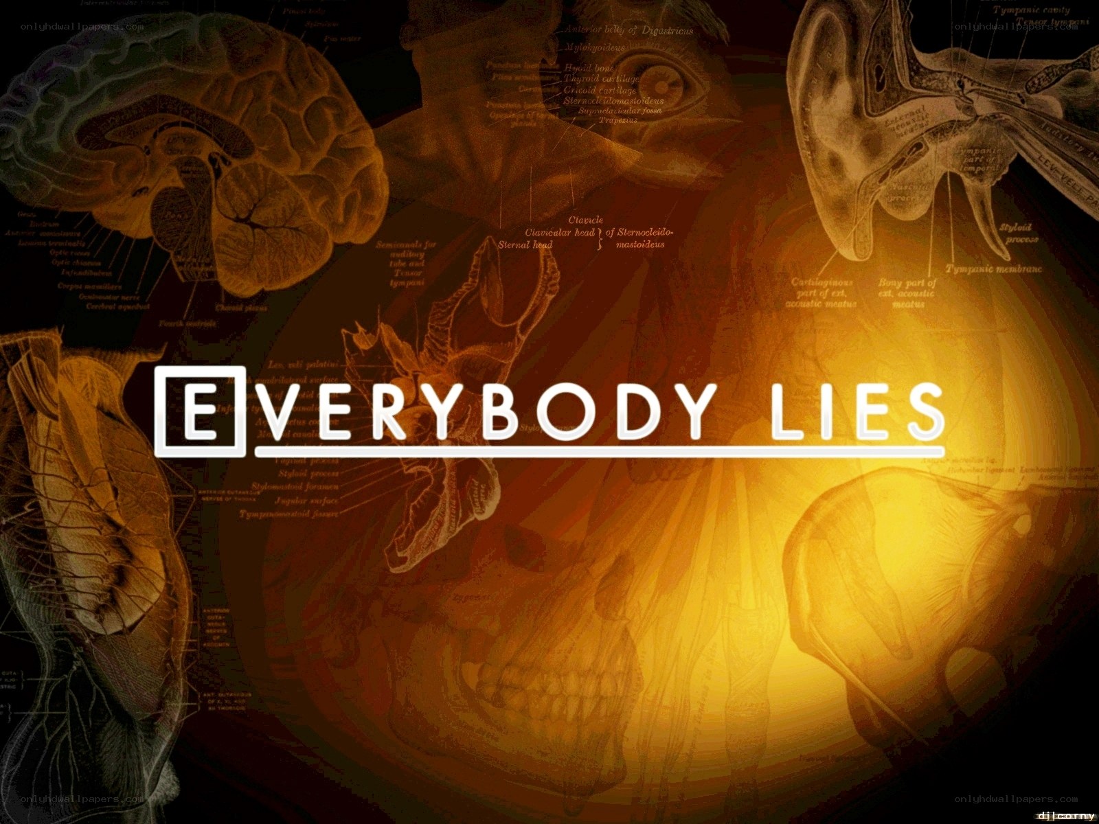 anatomy of lies