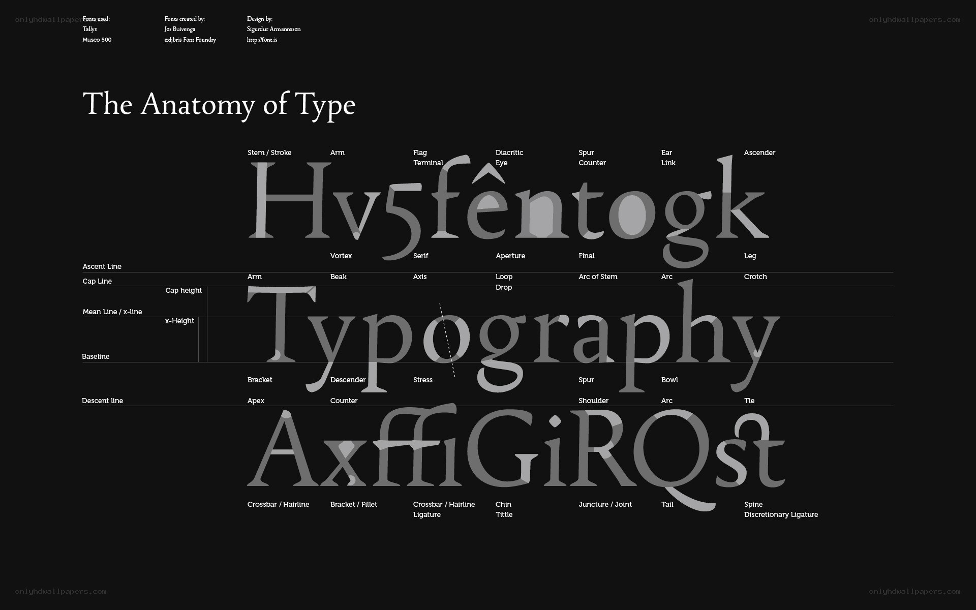 Anatomy of Type