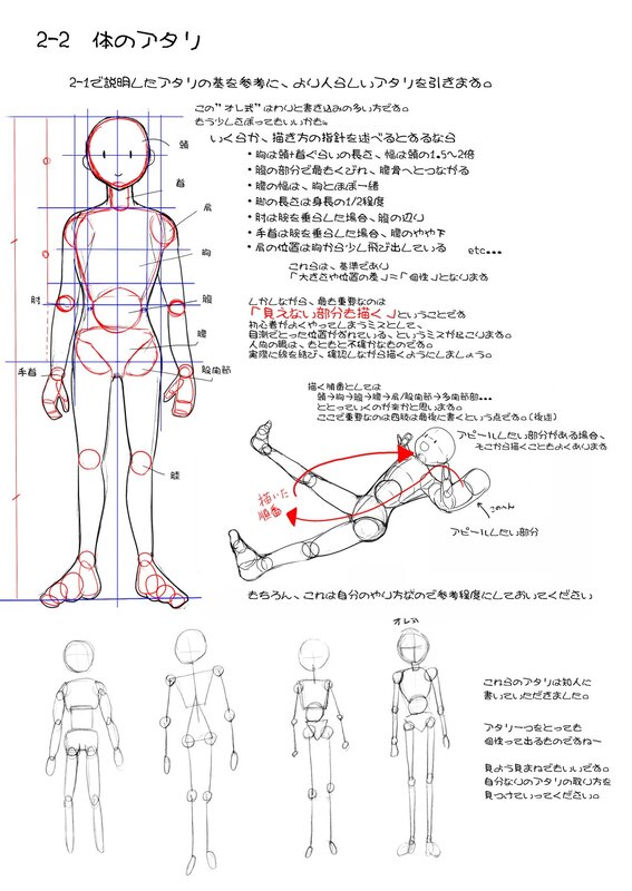Anatomy Reference Guide