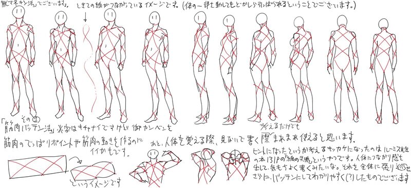 Anatomy Study Drawings