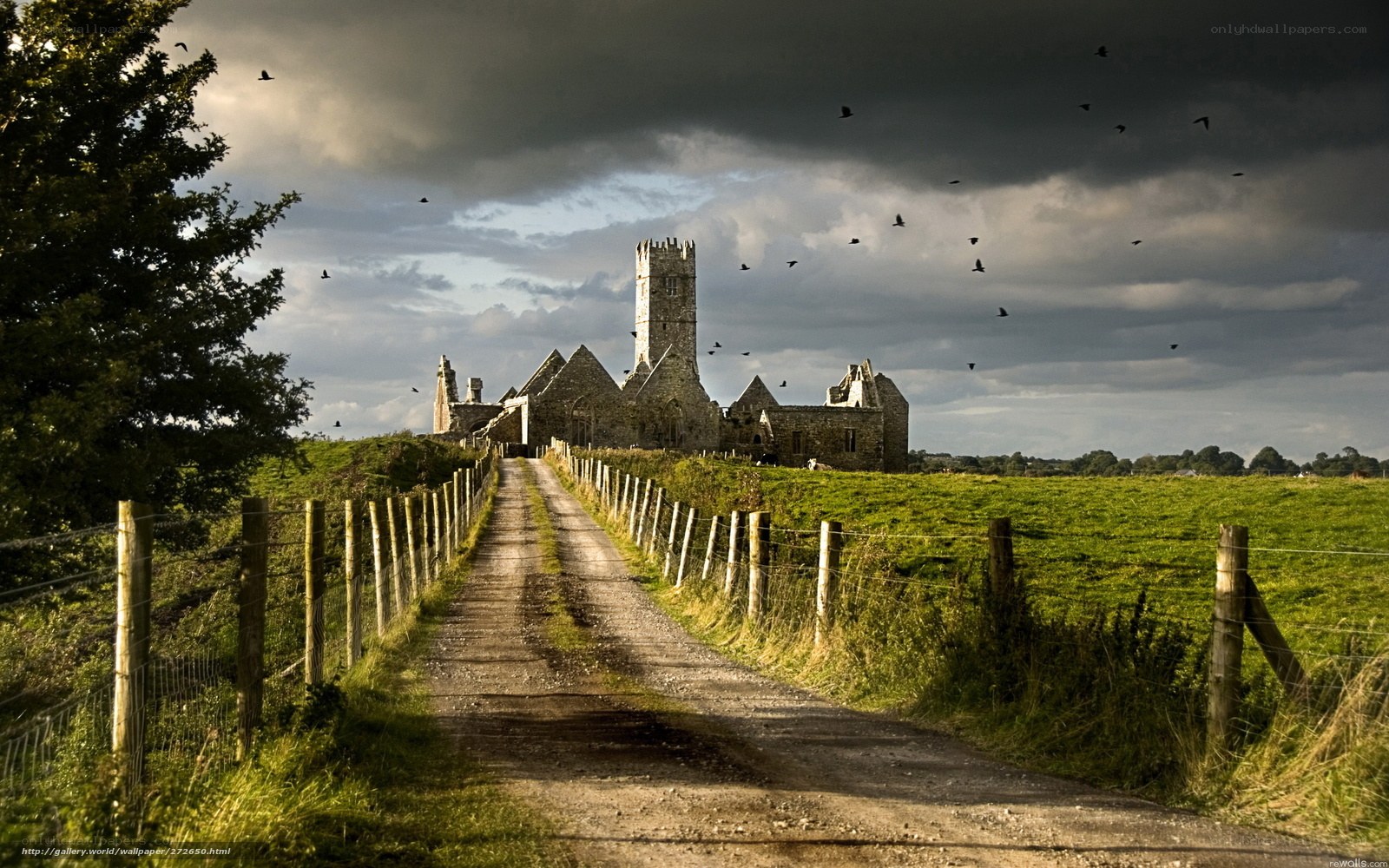 Ancient abbey under stormy sky