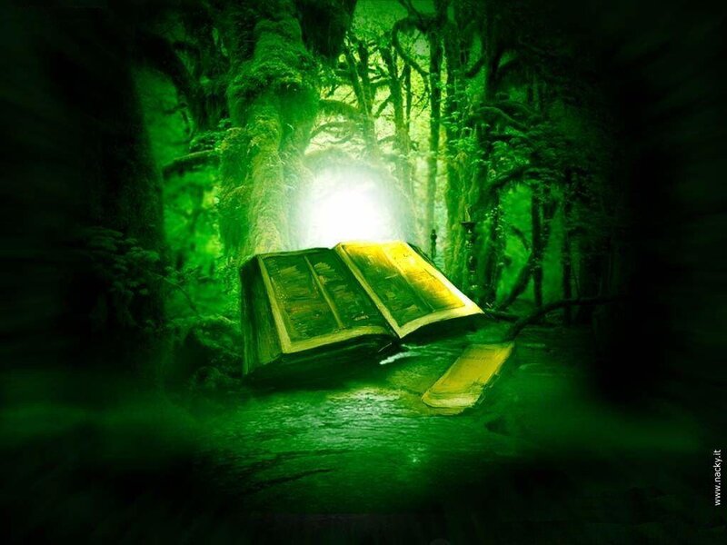 ancient book in a green forest