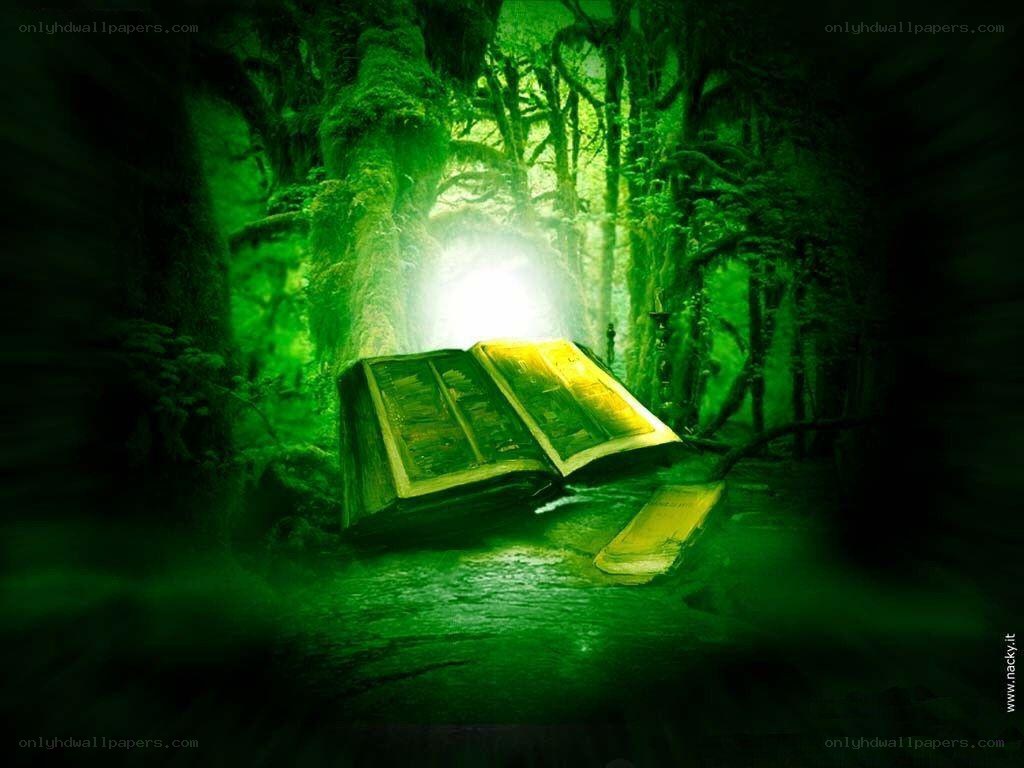 ancient book in a green forest