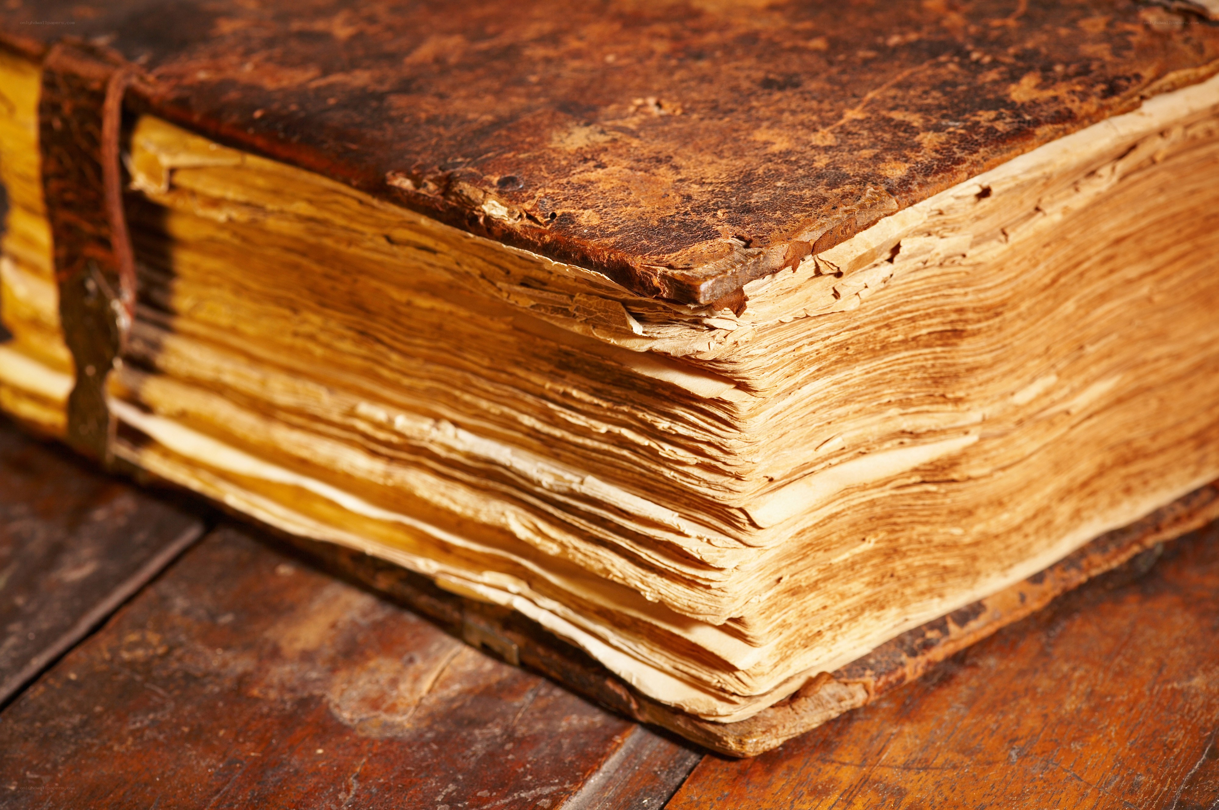 ancient book with worn pages