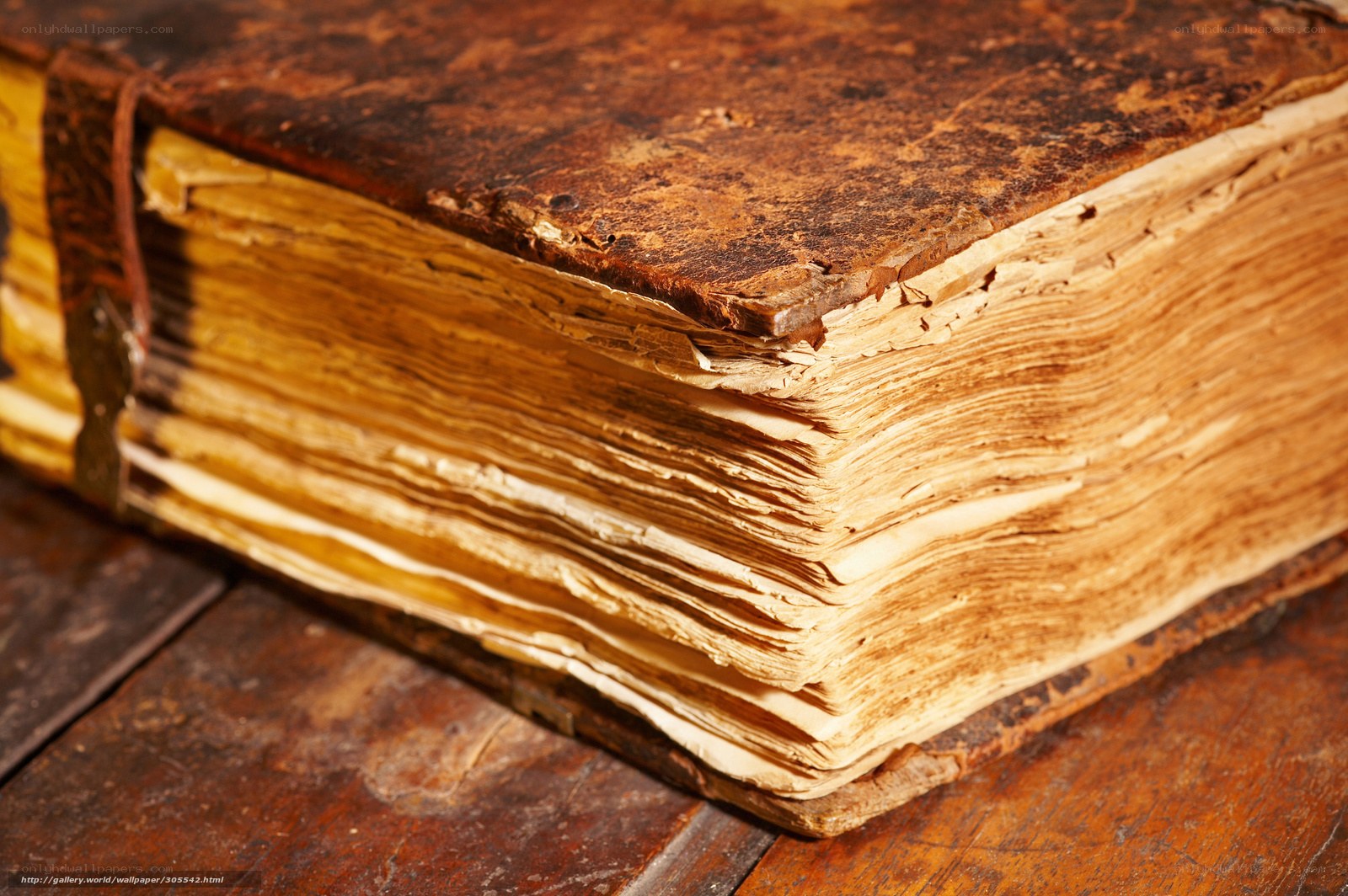 ancient book with worn pages
