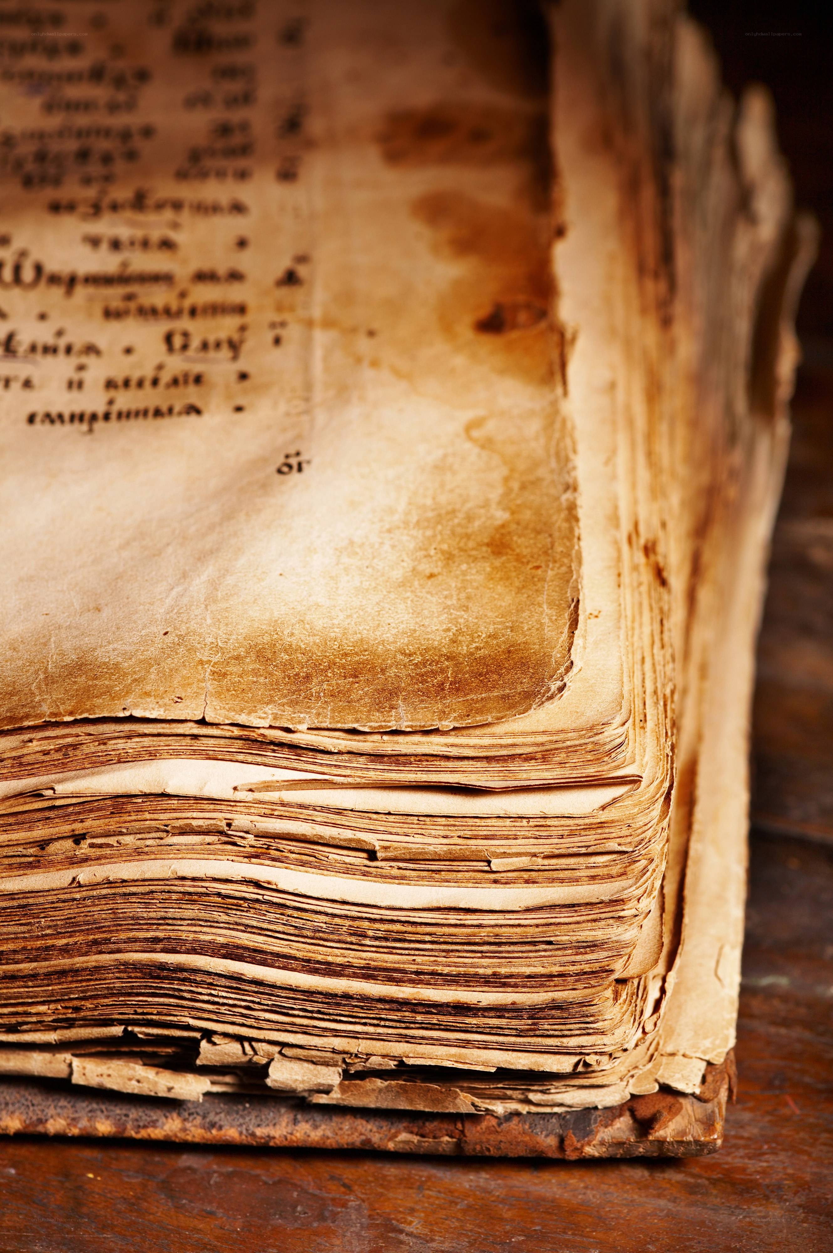 ancient book with yellowed pages