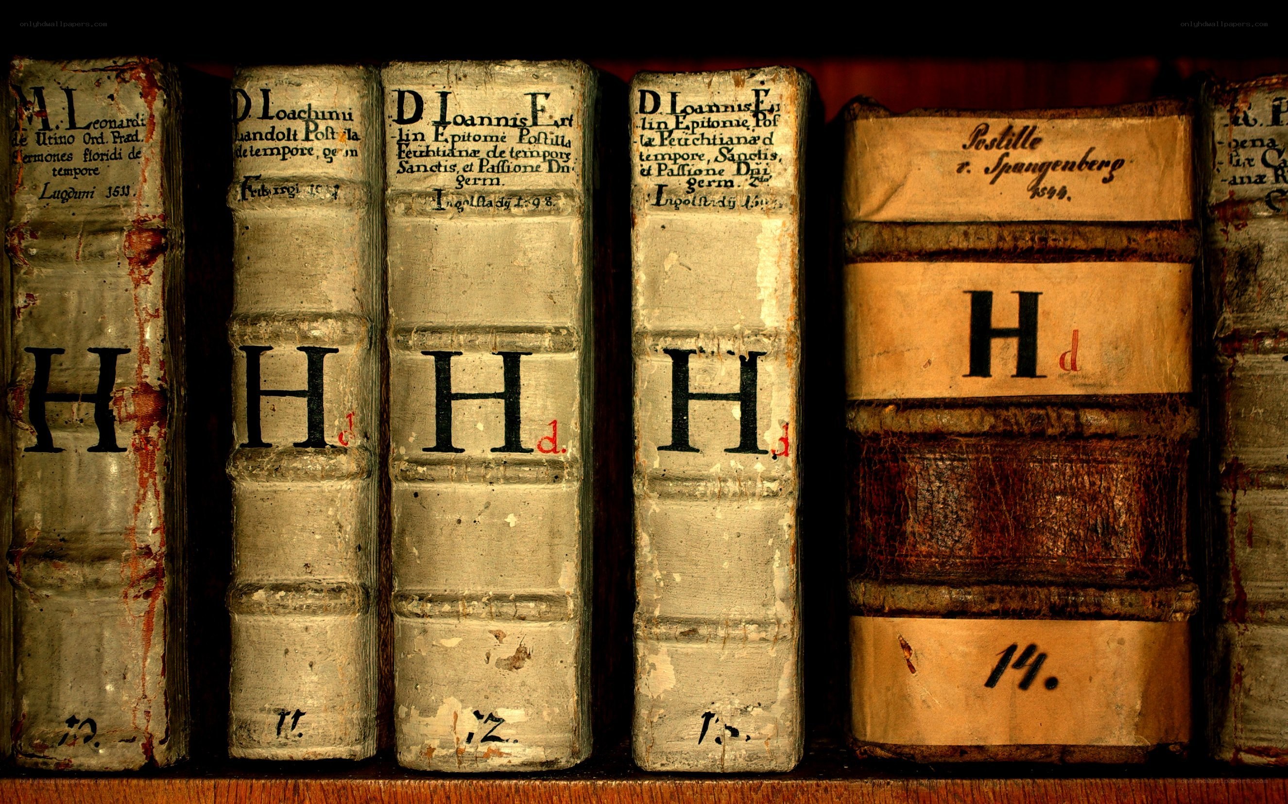 ancient books on a shelf