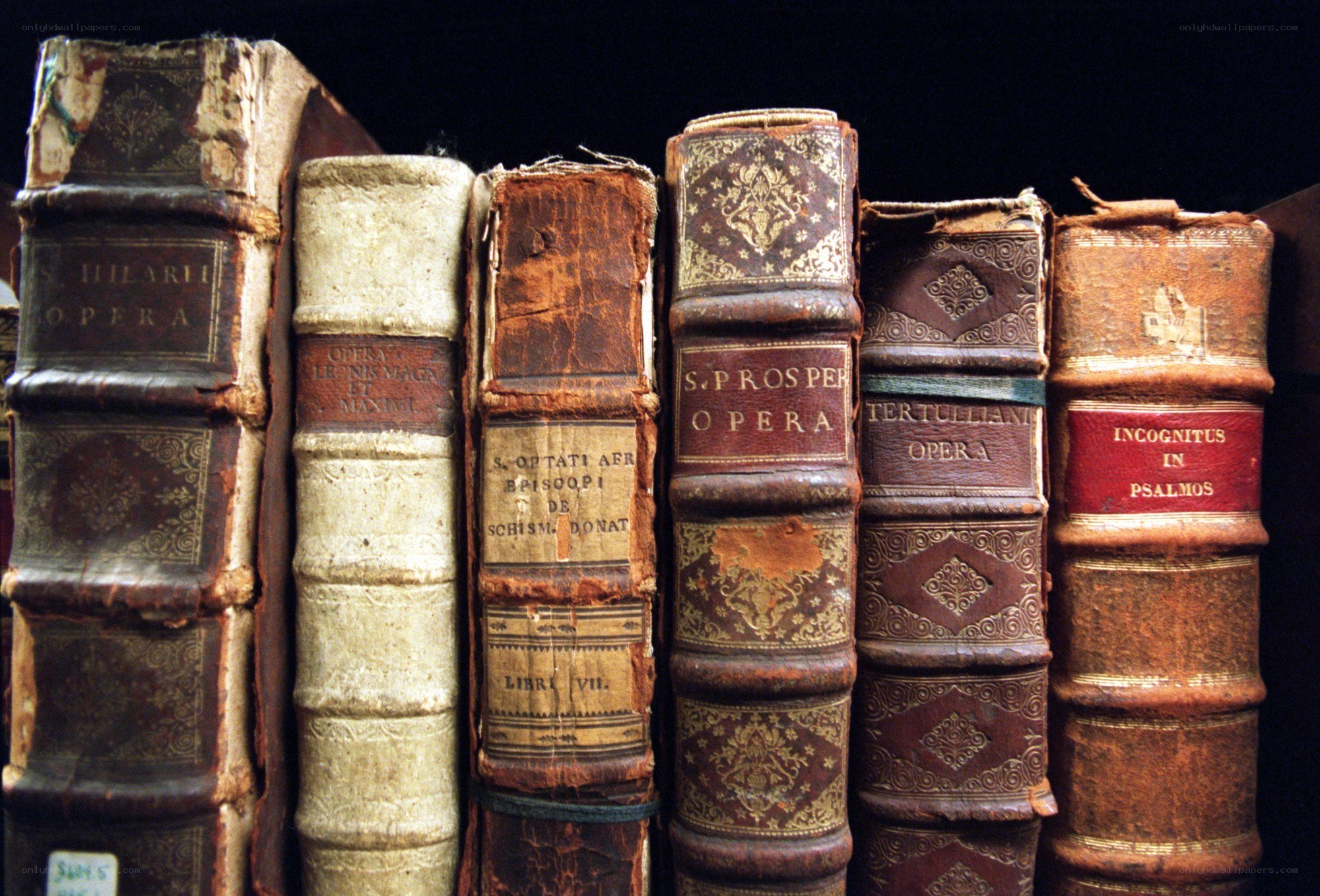 ancient books on a shelf
