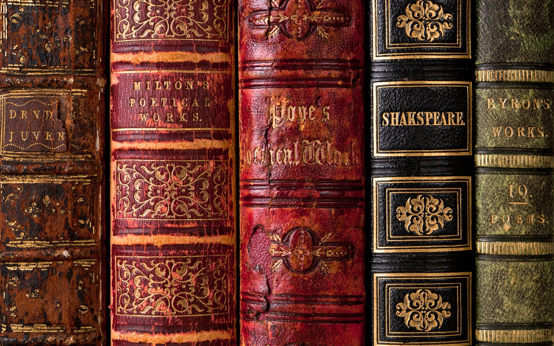 ancient books spine collection