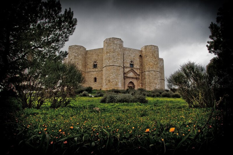 Ancient castle in a flower field