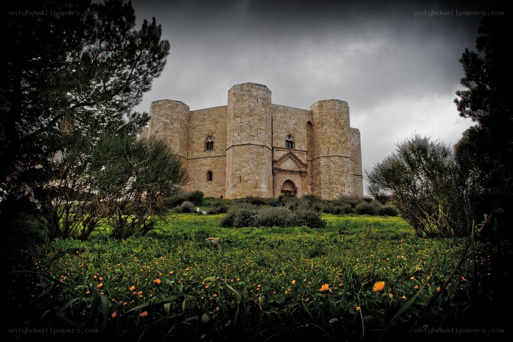 Ancient castle in a flower field
