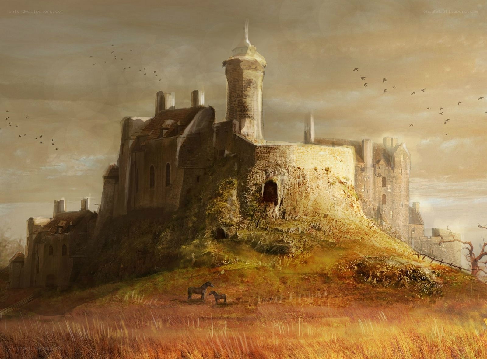 Ancient castle on a hill