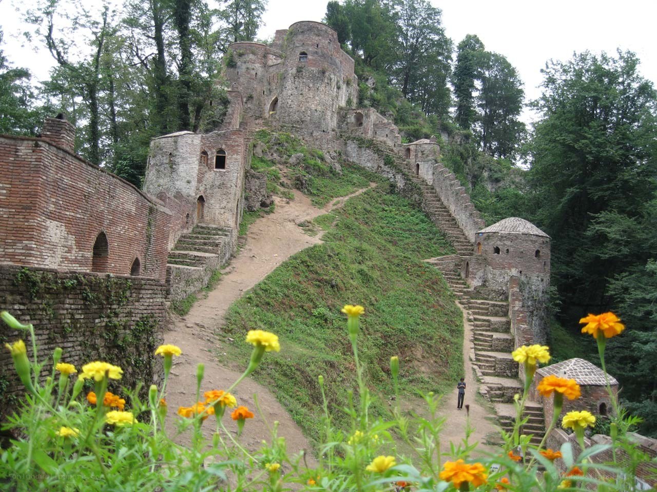ancient castle ruins with flowers
