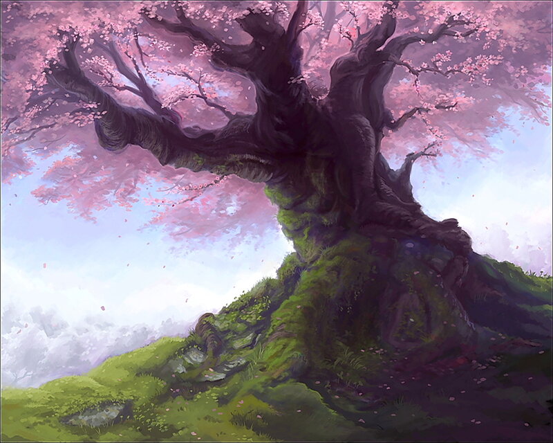 Ancient Cherry Blossom Tree