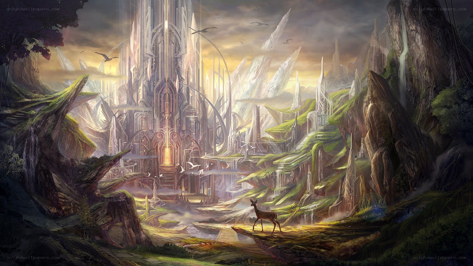 ancient city in a canyon