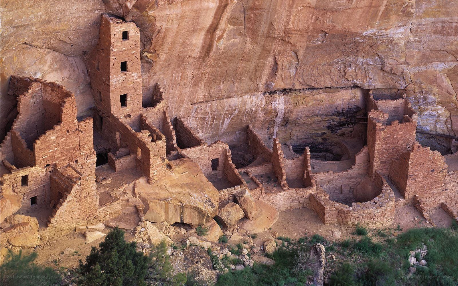 Ancient cliff dwelling ruins