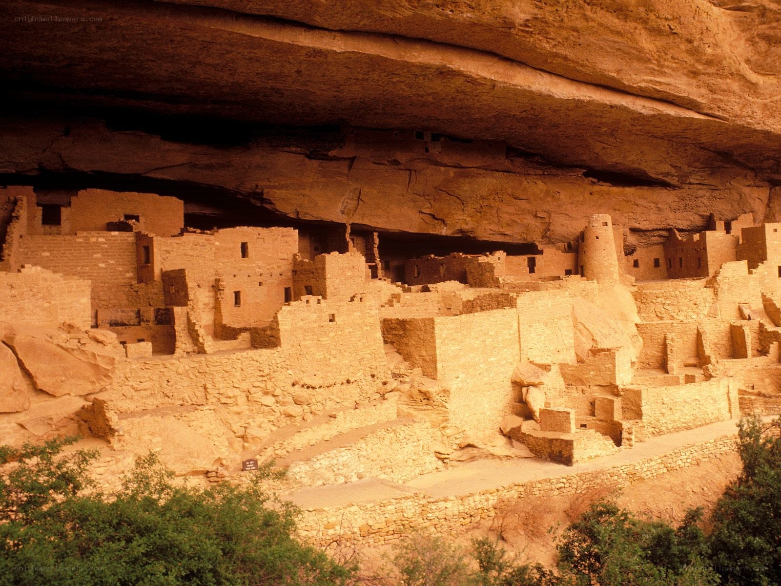 Ancient cliff dwellings at Mesa Verde