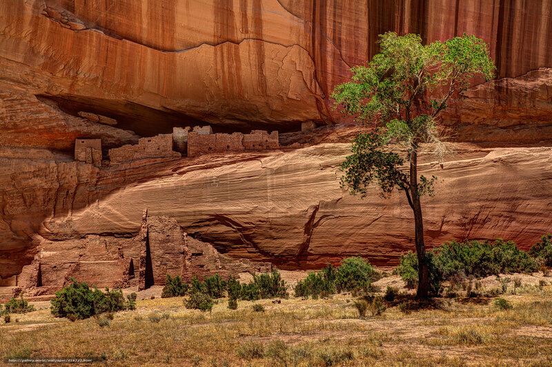 Ancient cliff dwellings in canyon
