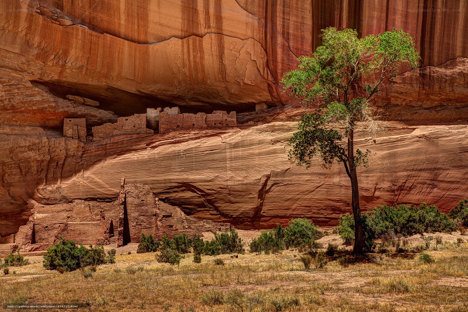 Ancient cliff dwellings in canyon