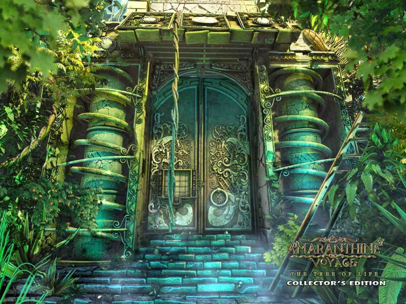 Ancient Door in Jungle