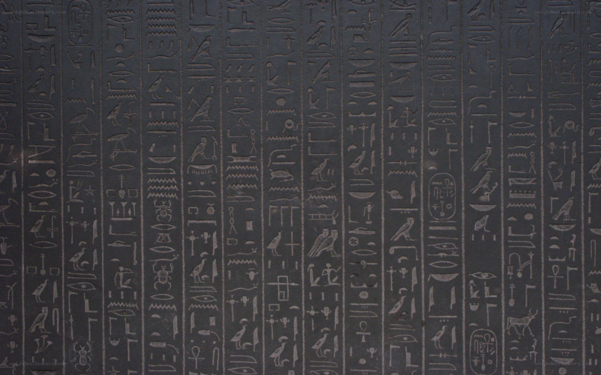 ancient egyptian hieroglyphs
