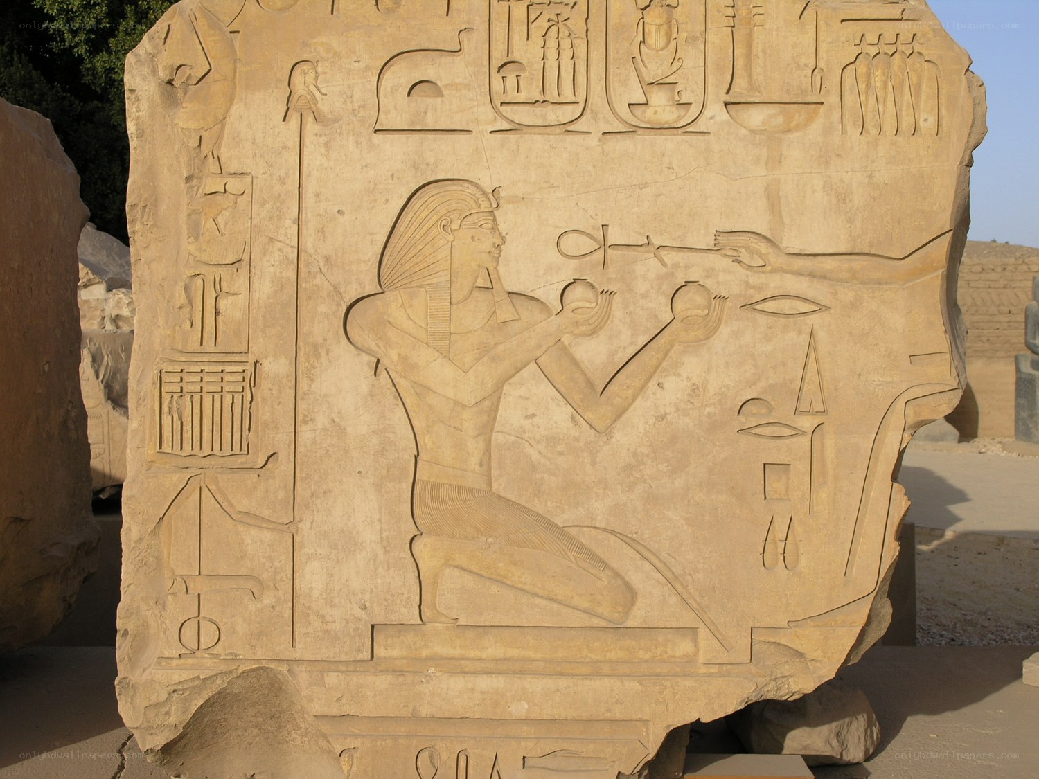 Ancient Egyptian relief carving