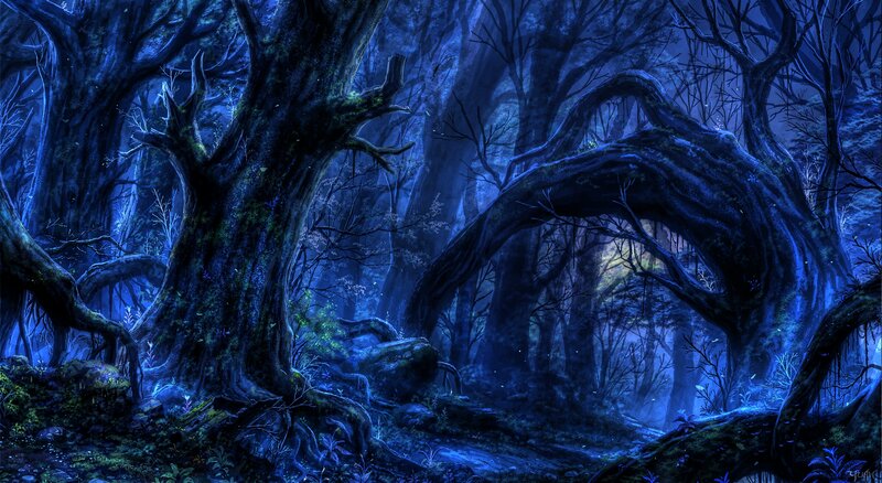 Ancient Forest at Night