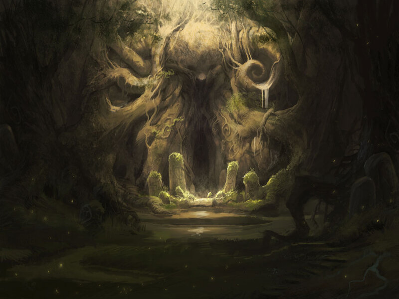 ancient forest grove