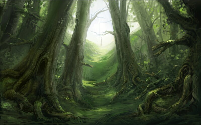 Ancient Forest Path — Green, Serene, Morning