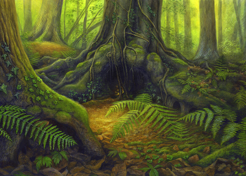 Ancient Forest Roots