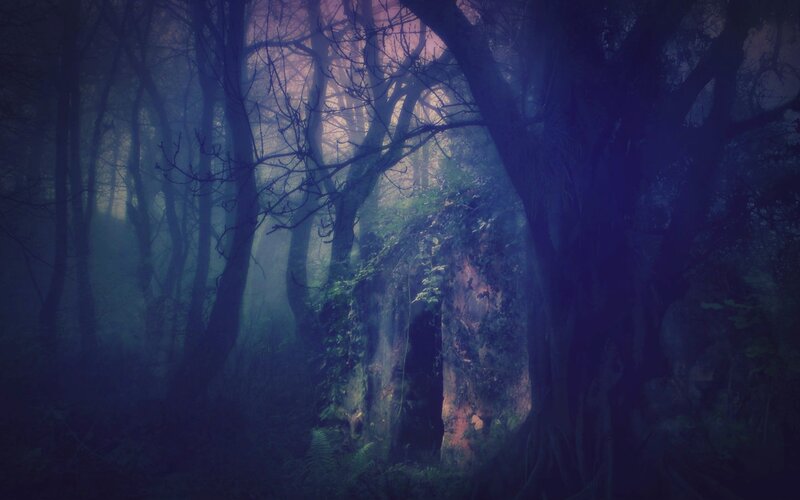 Ancient Forest Ruins — Purple