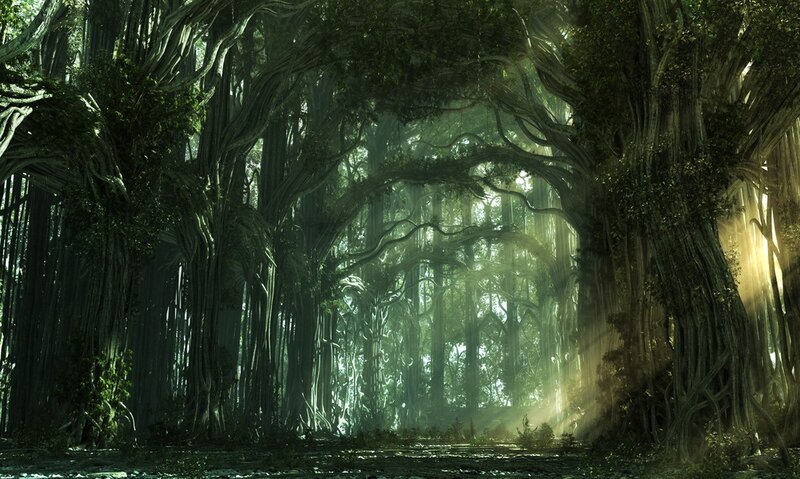 Ancient Forest with Giant Trees — Green
