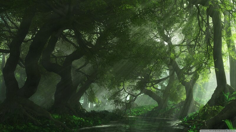 Ancient Forest with River — Green, Serene
