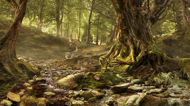 ancient forest with river