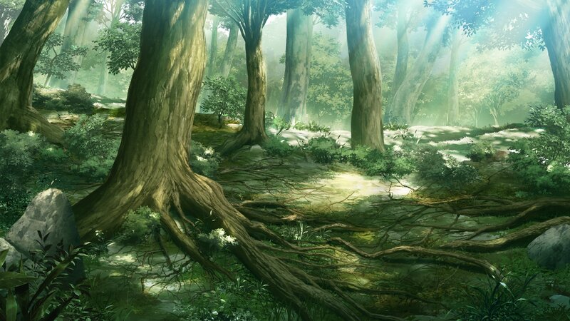 Ancient Forest with Roots