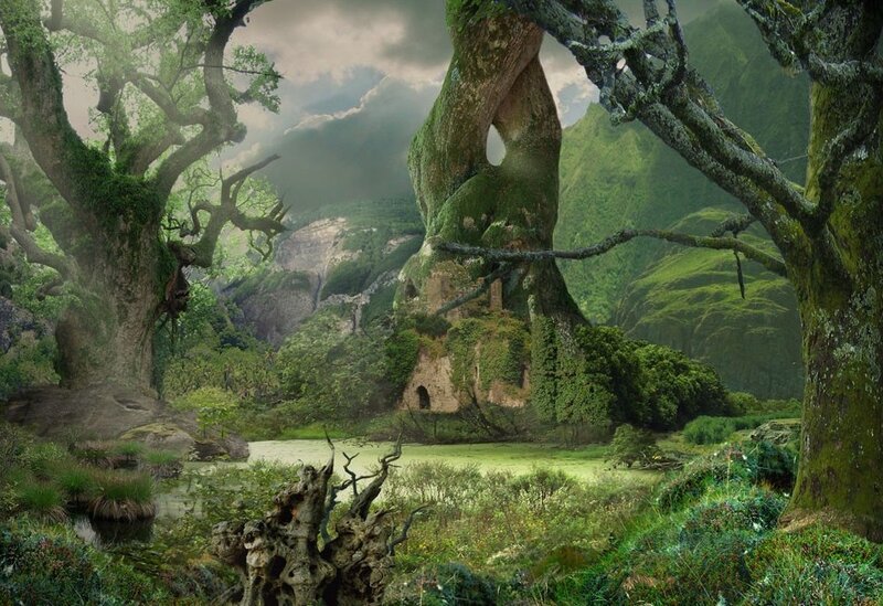 Ancient Forest with Ruins