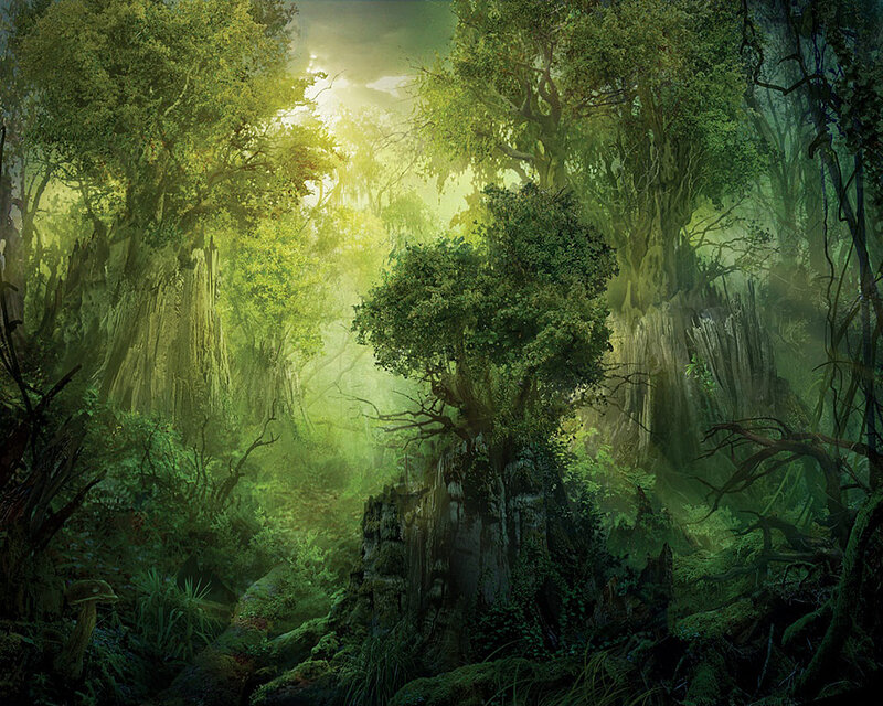 Ancient Forest with Sunlight — Green, Serene, Morning, Digital Art, Trees, Moss